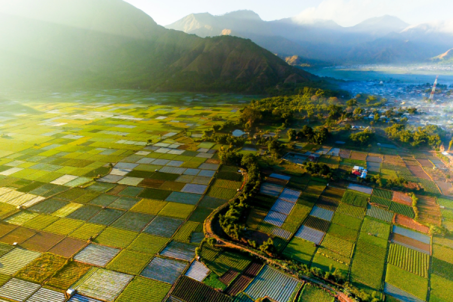 6-Day Bali and Jakarta Tour